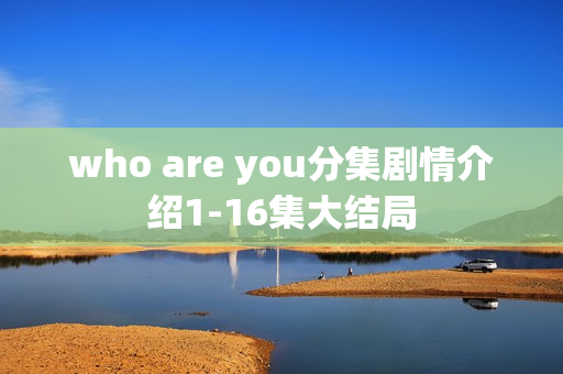 who are you分集剧情介绍1-16集大结局