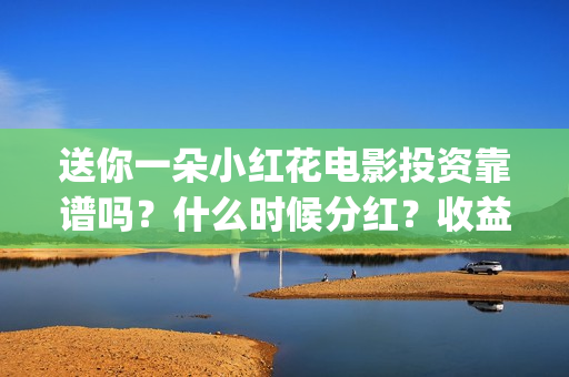 送你一朵小红花电影投资靠谱吗？什么时候分红？收益怎么算(送你一朵小红花结局)