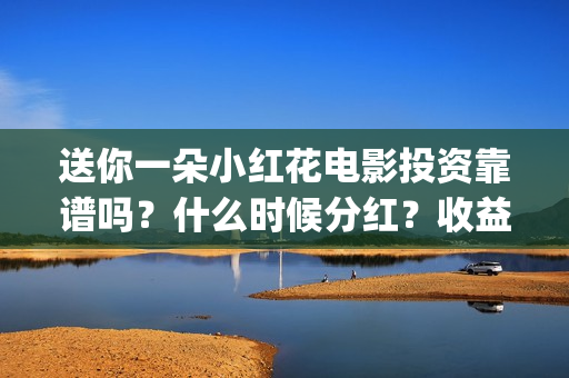 送你一朵小红花电影投资靠谱吗？什么时候分红？收益怎么算(送你一朵小红花原唱)