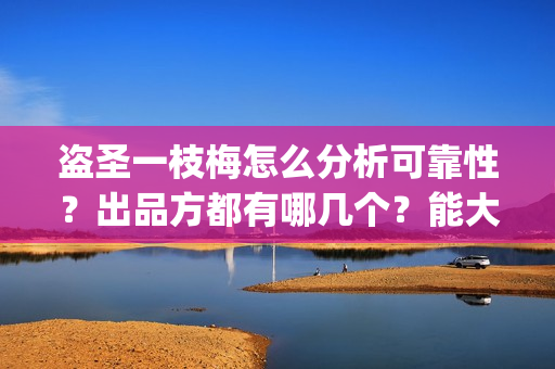 盗圣一枝梅怎么分析可靠性？出品方都有哪几个？能大卖吗？(一枝梅和逆贼)