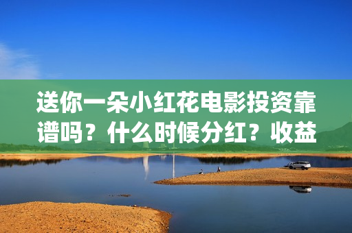 送你一朵小红花电影投资靠谱吗？什么时候分红？收益怎么算(送你一朵小红花歌词)