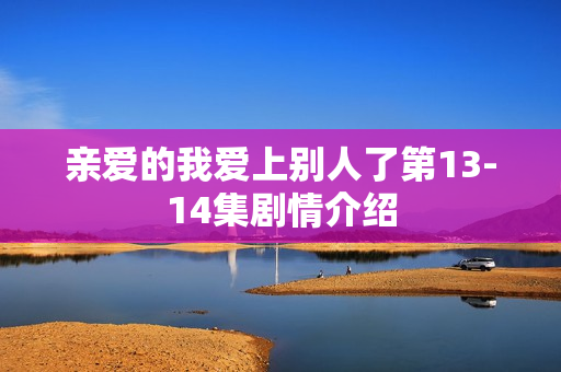 亲爱的我爱上别人了第13-14集剧情介绍