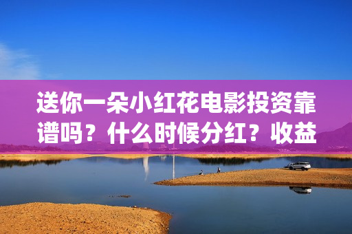 送你一朵小红花电影投资靠谱吗？什么时候分红？收益怎么算(送你一朵小红花演员表)