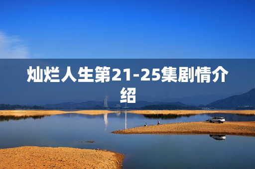 灿烂人生第21-25集剧情介绍