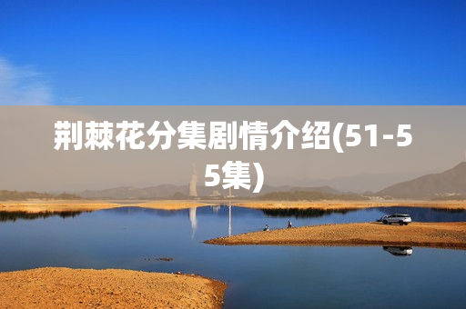 荆棘花分集剧情介绍(51-55集)