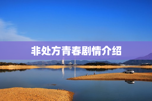 非处方青春剧情介绍