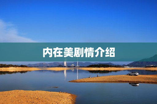 内在美剧情介绍