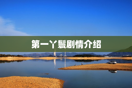 第一丫鬟剧情介绍