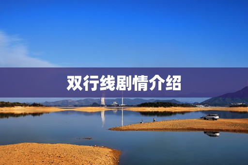 双行线剧情介绍