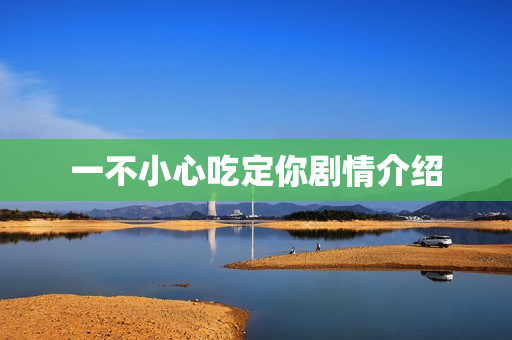 一不小心吃定你剧情介绍