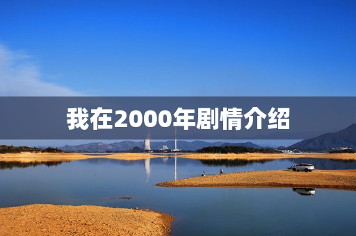 我在2000年剧情介绍
