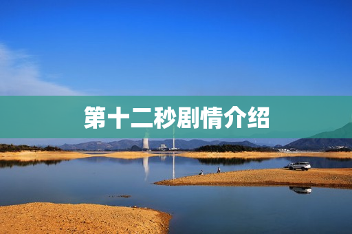 第十二秒剧情介绍