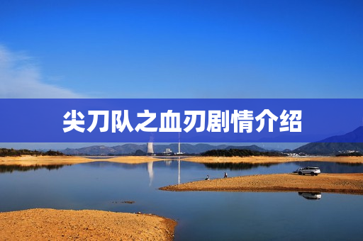 尖刀队之血刃剧情介绍