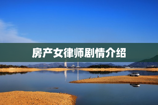 房产女律师剧情介绍