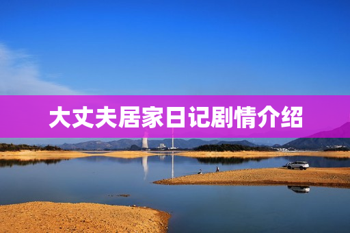大丈夫居家日记剧情介绍