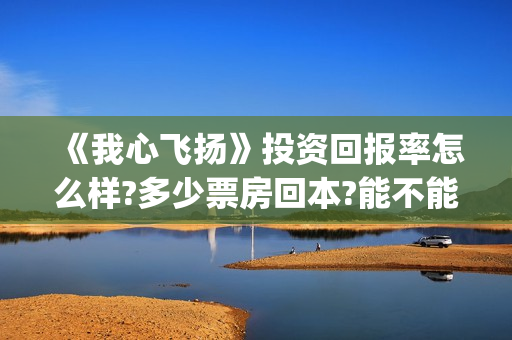 《我心飞扬》投资回报率怎么样?多少票房回本?能不能赚钱?(电影我心飞扬)