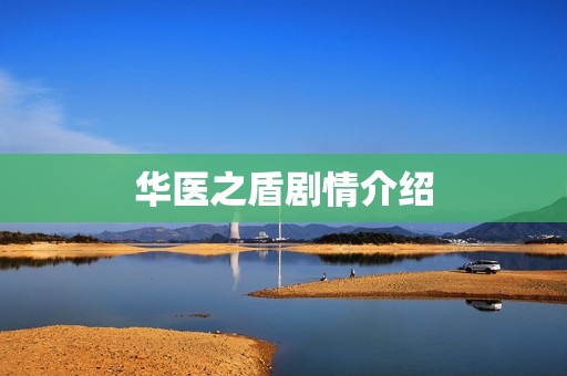 华医之盾剧情介绍