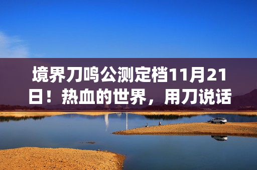 境界刀鸣公测定档11月21日！热血的世界，用刀说话！(bleach境·界斩魄刀异闻录 动漫)