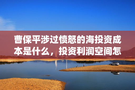 曹保平涉过愤怒的海投资成本是什么，投资利润空间怎么样(曹保平电影作品大全)