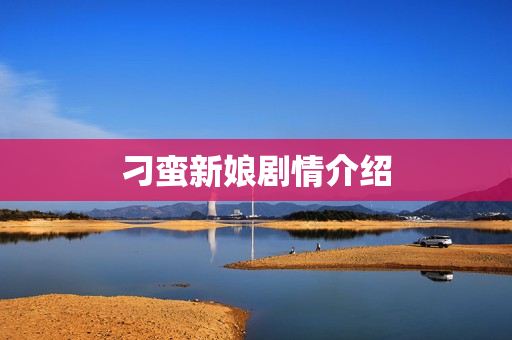 刁蛮新娘剧情介绍