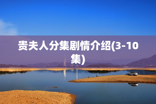 贵夫人分集剧情介绍(3-10集)