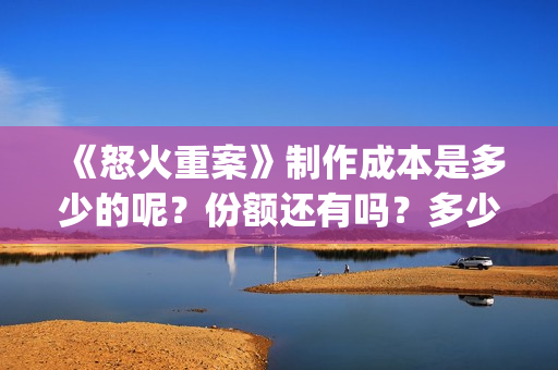 《怒火重案》制作成本是多少的呢？份额还有吗？多少起投呢？(怒火重案口碑炸裂)