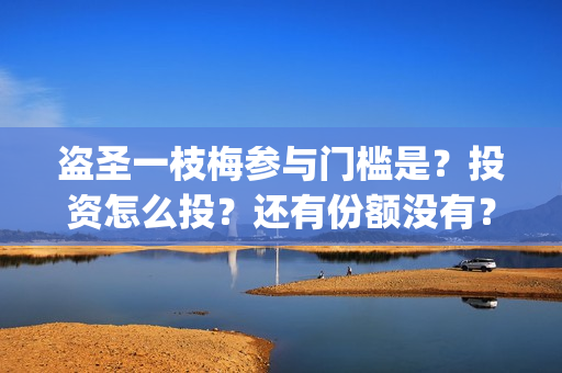 盗圣一枝梅参与门槛是？投资怎么投？还有份额没有？(盗圣一枝梅什么时候上映)