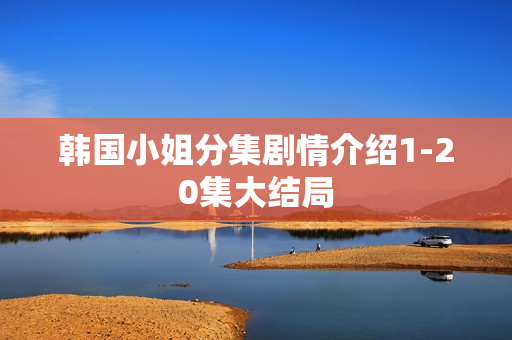 韩国小姐分集剧情介绍1-20集大结局