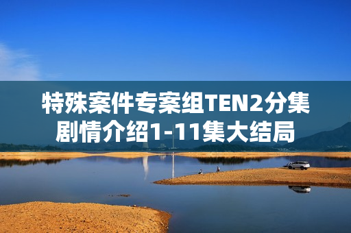 特殊案件专案组TEN2分集剧情介绍1-11集大结局