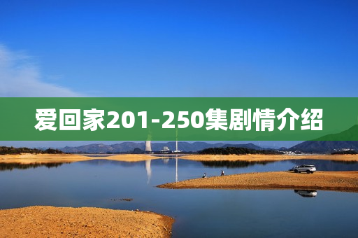 爱回家201-250集剧情介绍