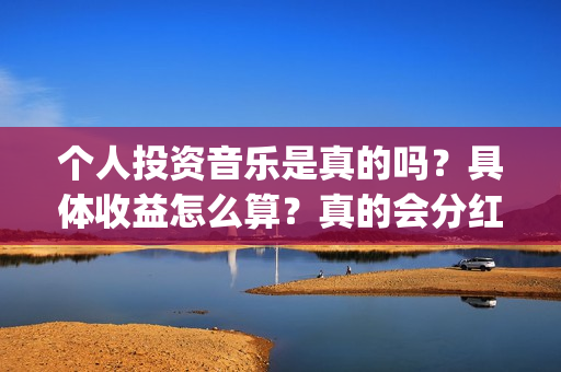 个人投资音乐是真的吗？具体收益怎么算？真的会分红吗？(个人投资音乐是做什么的)