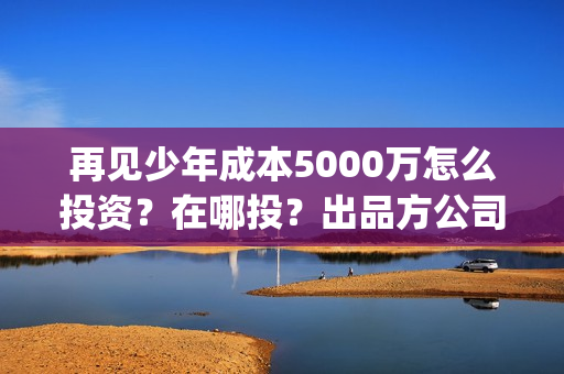 再见少年成本5000万怎么投资？在哪投？出品方公司怎么样？(再见少年解读)