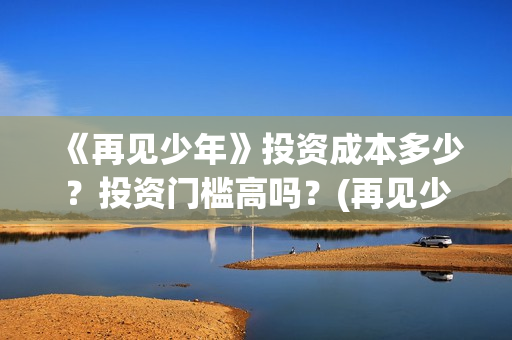 《再见少年》投资成本多少？投资门槛高吗？(再见少年个人投资真实吗)