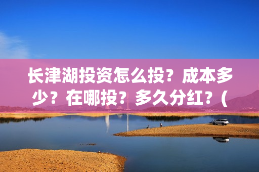 长津湖投资怎么投？成本多少？在哪投？多久分红？(长津湖投资是真实的吗)