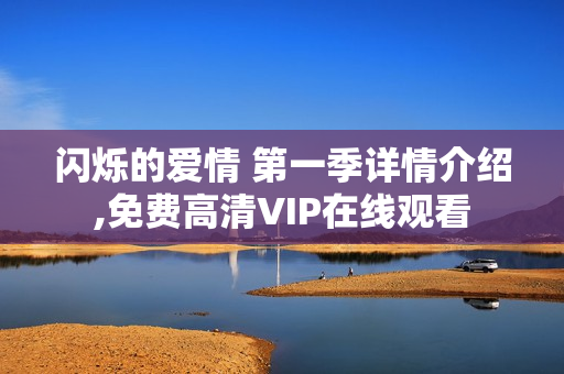 闪烁的爱情 第一季详情介绍,免费高清VIP在线观看