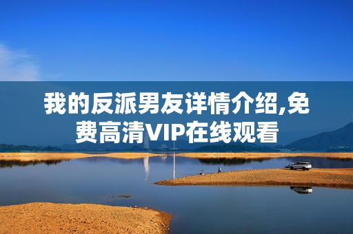 我的反派男友详情介绍,免费高清VIP在线观看