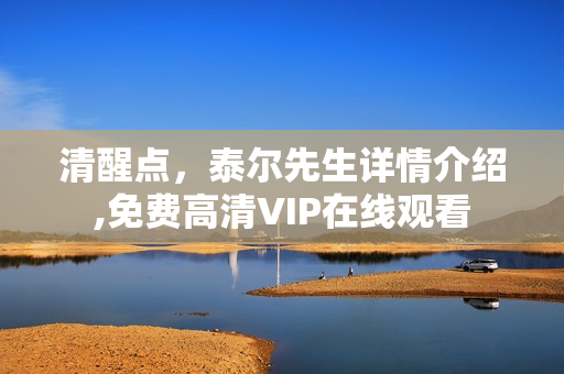 清醒点，泰尔先生详情介绍,免费高清VIP在线观看