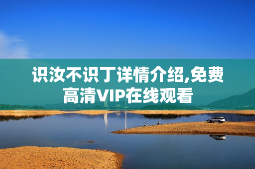 识汝不识丁详情介绍,免费高清VIP在线观看