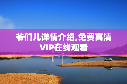 爷们儿详情介绍,免费高清VIP在线观看
