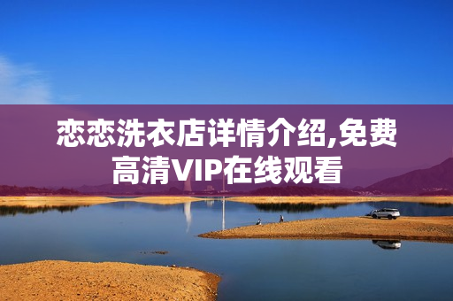 恋恋洗衣店详情介绍,免费高清VIP在线观看