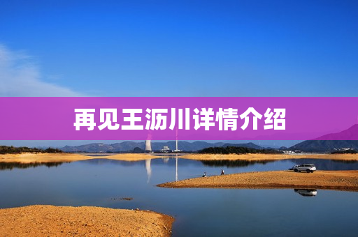 再见王沥川详情介绍