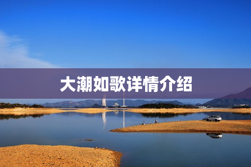 大潮如歌详情介绍