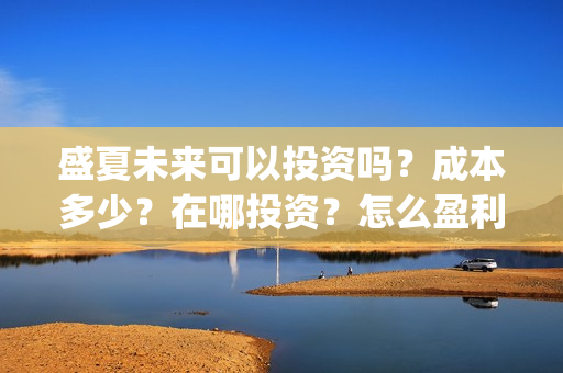 盛夏未来可以投资吗？成本多少？在哪投资？怎么盈利？(盛夏未来能投吗)