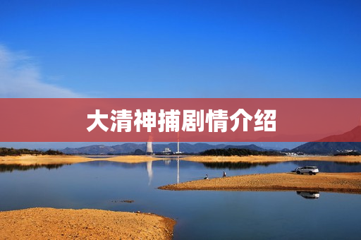 大清神捕剧情介绍