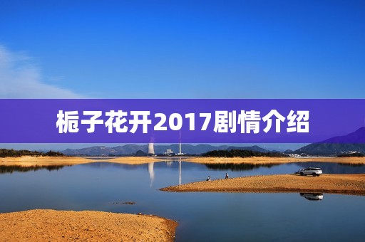 栀子花开2017剧情介绍