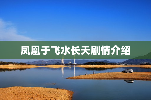 凤凰于飞水长天剧情介绍