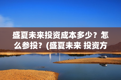 盛夏未来投资成本多少？怎么参投？(盛夏未来 投资方)