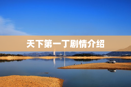 天下第一丁剧情介绍