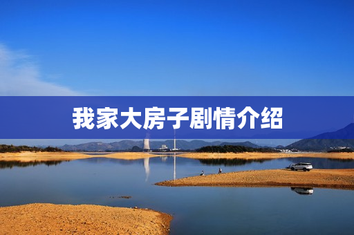 我家大房子剧情介绍