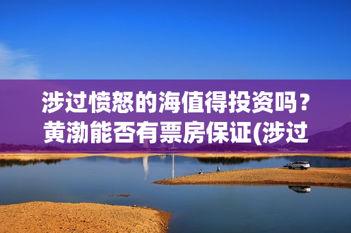 涉过愤怒的海值得投资吗？黄渤能否有票房保证(涉过愤怒的海原著)